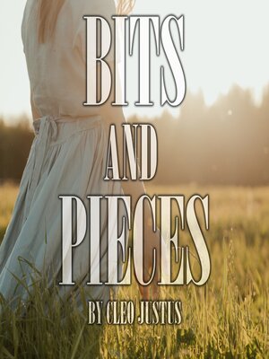 cover image of Bits and Pieces